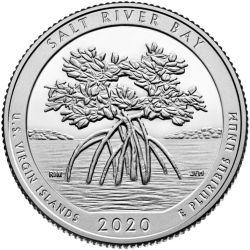 buy